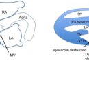 분당데이지동물병원 이미지