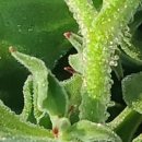 푸른들농장 이미지