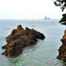 장고도(명장섬해수욕장) | [충남 보령 장고도] 명장섬 바닷길 물때 맞추는 꿀팁 &amp; 갯벌 체험 포인트 총정리