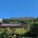 고도교차로~해남교차로 이미지