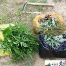 두란농장 이미지