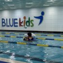 블루키즈 어린이수영장 | 노원 블루키즈 수영장 : 1년 후기