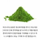 스피나월드