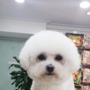 폴리파크 반송점 이미지