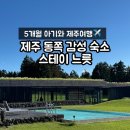 테라스에별이뜨면 | 5개월 아기와 제주 동쪽 여행 감성 숙소 '스테이 느릇' 2박후기