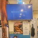 중앙동120 | 안산중앙동맛집 중앙동술집 양대리양대창 안산중앙점 방문후기