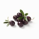 올리브(OLIVE) 이미지