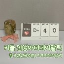 [키들 신생아디데이달력] 아기디데이달력 | 출산선물추천 후기