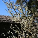 제주추사관 이미지