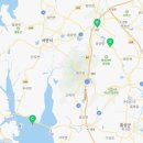 용장리 느티나무 이미지