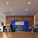 블루라운지 | 대구 실내데이트 놀거리 추천｜동성로 아쿠아밸리 블루라운지 체험 내돈내산 후기