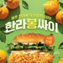 싸이다광고 | 맘스터치 신상 한라봉싸이버거 & 후덕죽 통새우버거 내돈내산 후기