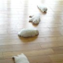 개편한세상 이미지