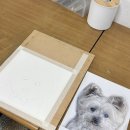 봉천동취미미술 힐링 되는 그림 수업 다다화실 4회 후기
