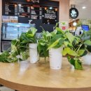 아바 헬스 이미지