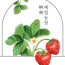 예림농장 이미지