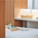 스파 앤 컷 이미지