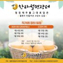 월평발전