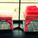 본리종합동물병원 이미지