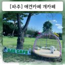 애견카페 제니콩콩 | 파주 애견카페 1000평 운동장 입짧은햇님이 운영하는 개카페 방문 후기 (15kg 이하)