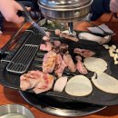 뼈대있는집 | [대구 성서/이곡동] 직접 구워주는 성서 고기집 ✨ 뼈대있는 돼지집 솔직후기