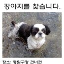 중원구청 이미지