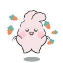 주연쭈꾸미 이미지