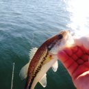 오늘유치원 이미지