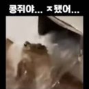 제일치과기공소 | 광주 서구 치과 &#39;어금니 크라운 가격&#39; 발품 팔기