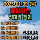 2025.01.09 (목) 마감시황 특징테마 급등주 대장주 신고가