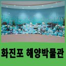 화진포관광지1 | 강원도 고성 가볼만한곳 화진포 해양박물관, 아이와 방문하기 좋은 실내여행지