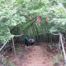 호룡곡산 구름다리 이미지