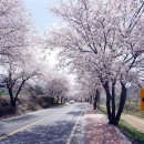 금오산로2-5 이미지