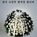 류카센타 이미지