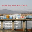 선두포낚시터 이미지