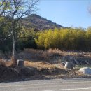 남해-172 이미지