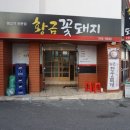 황금꽃돼지
