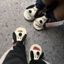 그루밍스토리 | [퍼슨 용인죽전점] 용인/수지/죽전 강아지미용실 목욕·위생미용후기