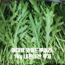 야채왕 - 안산시 단원구 원본로 31 | 야채왕 와일드 루꼴라 1kg 내돈내산 후기 키우기 특징 원산지 효능 요리