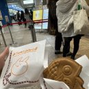 1364 | [도쿄 일상+1364日] ハニカミ 야마 촬영장인 선샤인 수족관에 갔다왔다✨