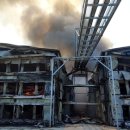 양계장닭한마리 이미지