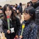 용인대 태풍 태권도장 이미지