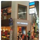 고로고로펫 이미지