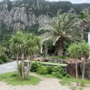 제주 서귀포 산방산 이미지