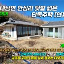 안심2리 티스토리