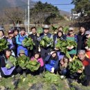 양산시종합사회복지관 이미지