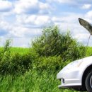 동부자동차써비스 이미지