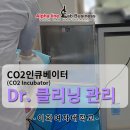 이화크리닝 이미지