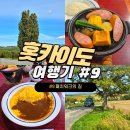 포플러하우스 | 후라노 명소 패치워크의 길 Patchwork Road 켄과 메리의 나무 방문 정보, 오모이데노 후라노 카레 후기