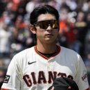 (주)팀내쇼날 이미지